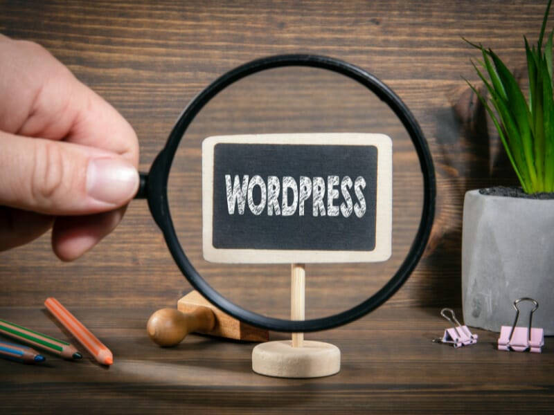 Why WordPress Is A Good Web Builder?